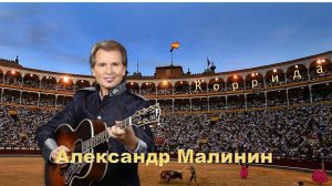 АЛЕКСАНДР МАЛИНИН. Коррида