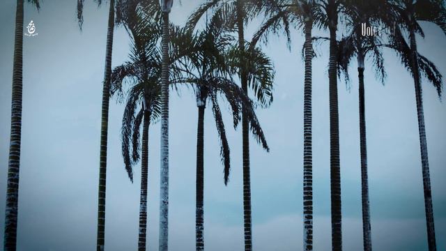 হযরত আবদুল্লাহ ইবন আব্বাস [রা] | Hazrat Abdullah ibn Abbas [R] | সাহাবী | Voice of Books смотреть онлайн