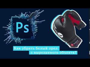 Adobe Photoshop / Удаляем белый ореол с вырезанного (вставленного) объекта