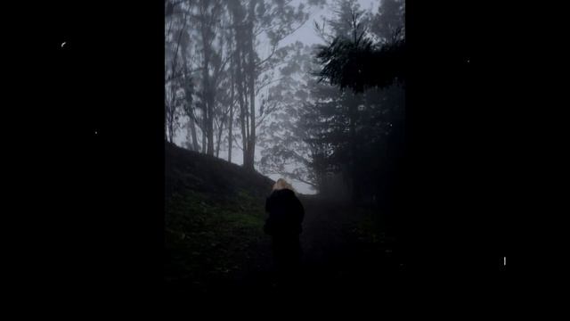 [FREE] Quannnic X Deftones X Shoegaze Type Beat - 