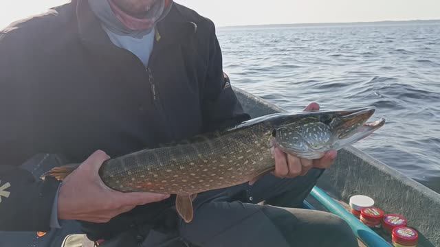 Микроджиг, снасть которая выручить в любой ситуации смотреть онлайн