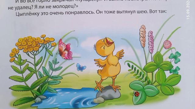 Цыпленок. смотреть онлайн