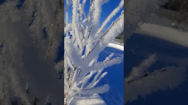 ❄сказочное волшебство Финляндии ❄09.02.2021г смотреть онлайн