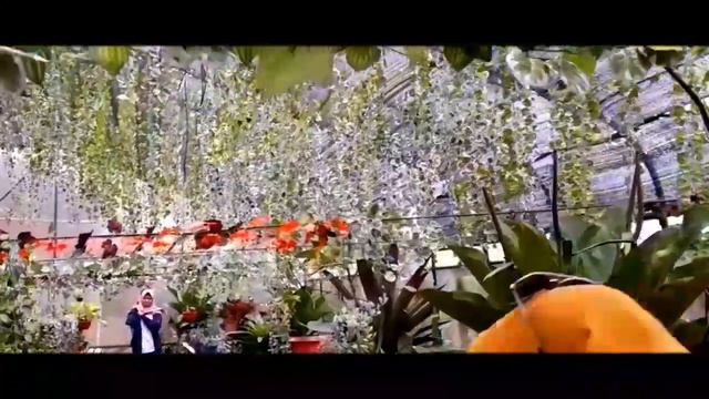 Green house | Bukit tinggi смотреть онлайн