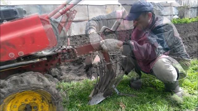Посадка картофеля мотоблоком. Как сажать картошку мотоблоком смотреть онлайн