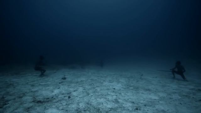 Experience The Underwater World Through The Eyes Of A Free Diver   Short Film Showcase