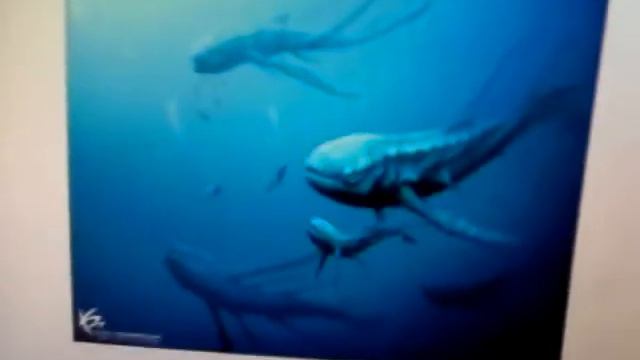 Subnautica creature concepts смотреть онлайн