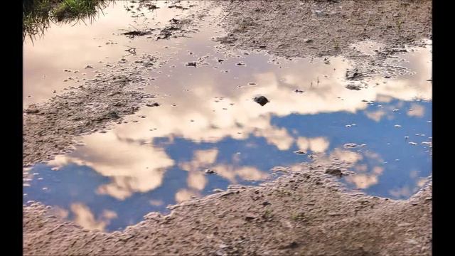 Radnóti Miklós Változó táj смотреть онлайн