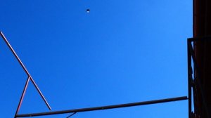 Мелитопольские голуби в Крыму  Белогорск у Игоря в гостях....