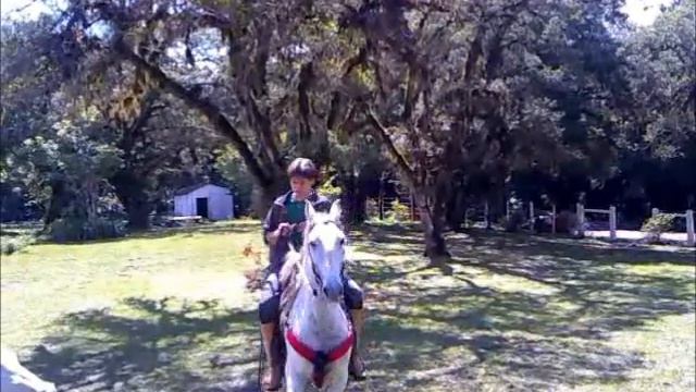 Rodrigo Dourado Fazenda.wmv смотреть онлайн