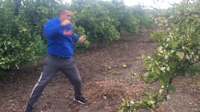 Tulio Palhares смотреть онлайн