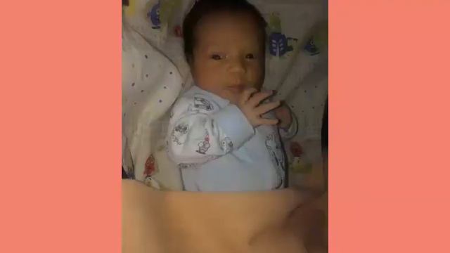 Maki y fede смотреть онлайн