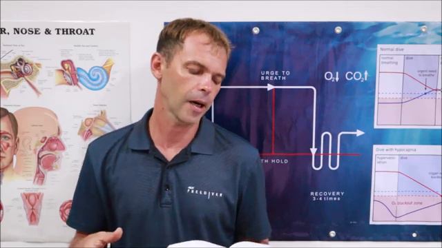 Learn From The Legend | Every Freediver MUST Read This Book by Umberto Pelizzari смотреть онлайн