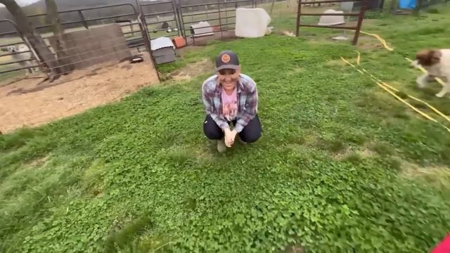 The Secret Is Out! смотреть онлайн