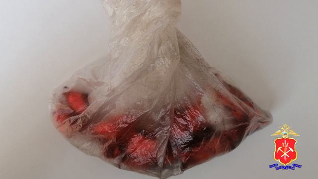В Кемерове заключены под стражу подозреваемые, пытавшиеся в подошвах тапок передать наркотики смотреть онлайн
