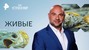 Живые — Как устроен мир с Тимофеем Баженовым (27.09.2023)