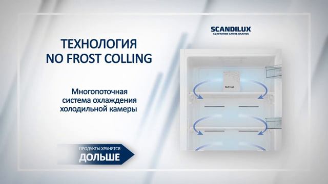 Обзор холодильника Scandilux R 711 Y02 S смотреть онлайн