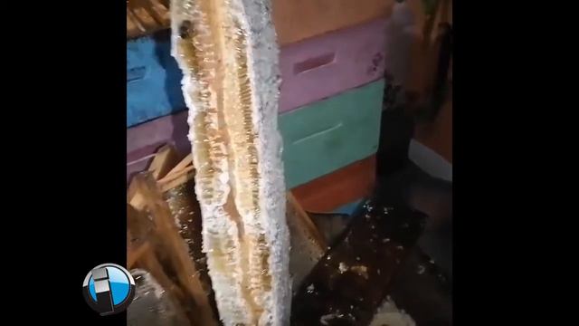 INFLUYENTES CON EUGENIO PEREZ Y FULGENCIO DE LA CRUZ смотреть онлайн