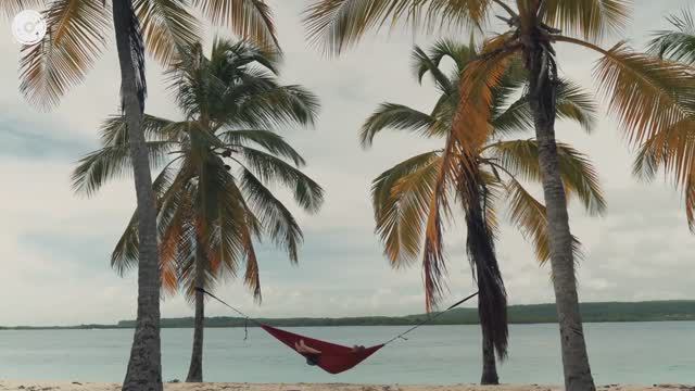 Alan Walker, Dua Lipa, Coldplay, Martin Garrix & Summer Vibes смотреть онлайн