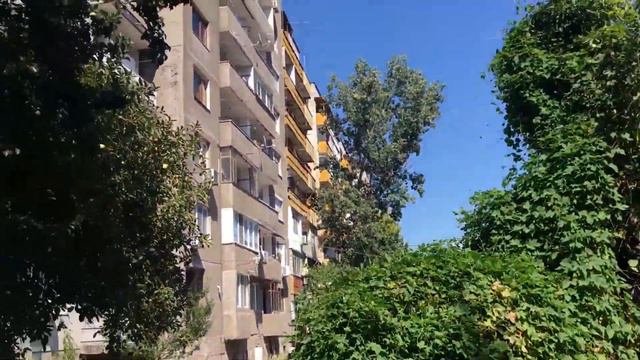 БЯЛАТА ГАРГА 3 ( Завръщане в джунглата) смотреть онлайн