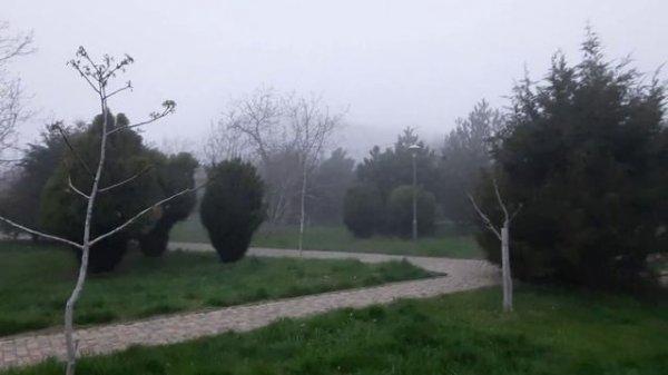 The Dr.Bugi Project - Floating in Chaos