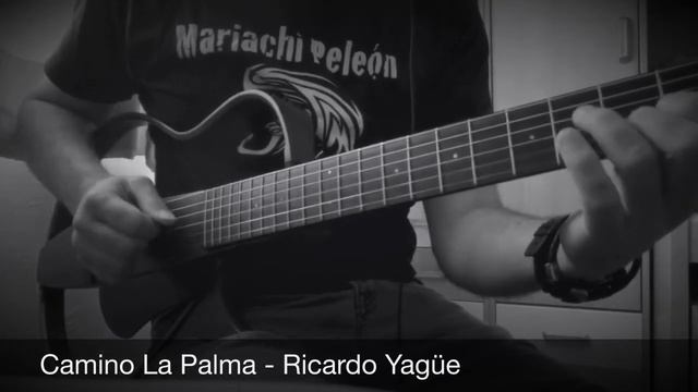 Camino La Palma - Ricardo Yagüe смотреть онлайн