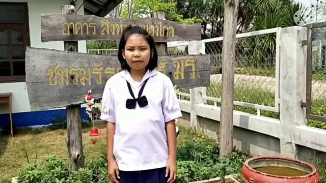 Sight seeing Muang Loei, Ban Sumboon School смотреть онлайн