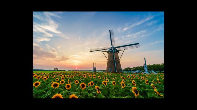 Windmills of Your Mind (Noel Harrison) Piano Cover - Dr Patrick Ang смотреть онлайн