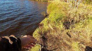 ЩУЧЬЕ ОЗЕРО ЯМАЛА, РЫБАЛКА ПОЗДНЕЙ ОСЕНЬЮ В ГЛУХОМ НО РЫБНОМ МЕСТЕ! НА КАРАКАТЕ К МЕЧТЕ РЫБАКА!
