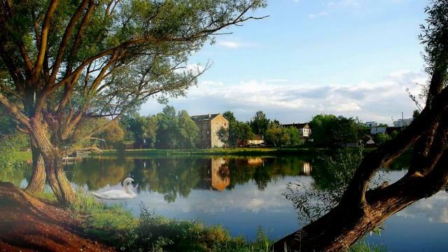 Serenade F.Schubert смотреть онлайн