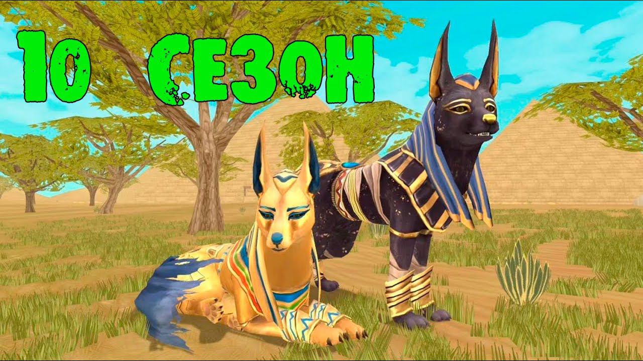 Смотрим 10 сезон WildCraft