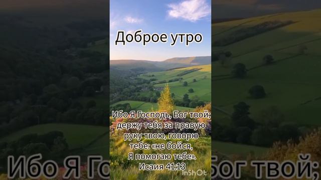 Доброе утро 🌄 смотреть онлайн