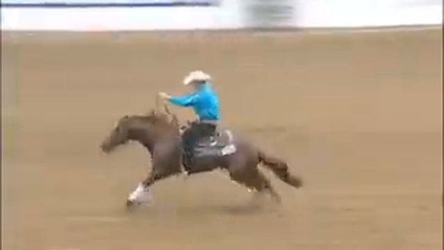 Josh Visser for Continental Saddlery смотреть онлайн