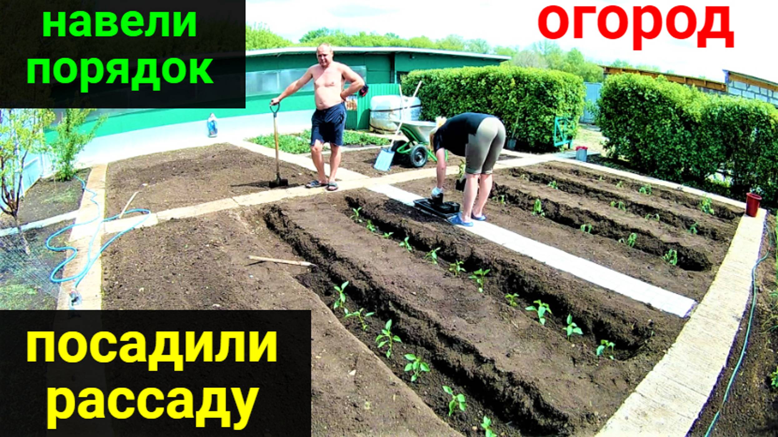 Наш огород! Навели порядок. Все посадили! смотреть онлайн