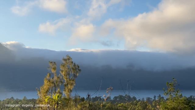 7 ДНЕЙ В ЛЕСУ БЕЗ ЕДЫ И ВОДЫ - ВЫЖИВАНИЕ [Часть 1] смотреть онлайн