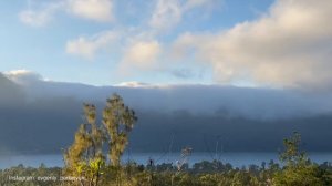 7 ДНЕЙ В ЛЕСУ БЕЗ ЕДЫ И ВОДЫ - ВЫЖИВАНИЕ [Часть 1]