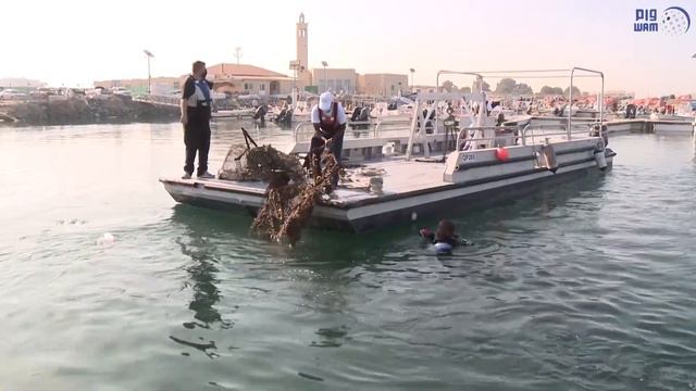 "علي بن سعود المعلا يفتتح ويشارك في حملة" بيئتي موطني смотреть онлайн