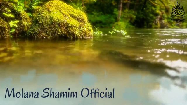 IMPORTANT JUMA BYAN 👍 || HAZRAT MOLANA SHAMIM SAHAB || D.B || 2021 смотреть онлайн