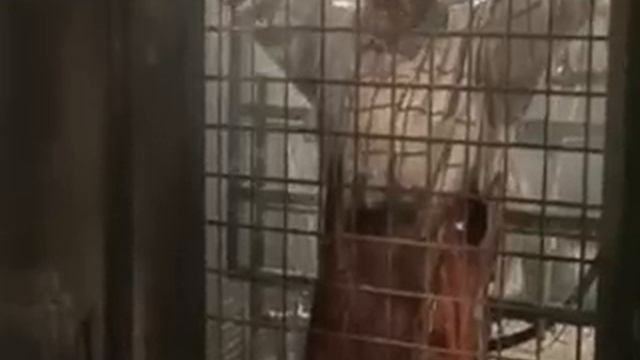 SAW VI Williams death Slow mo смотреть онлайн