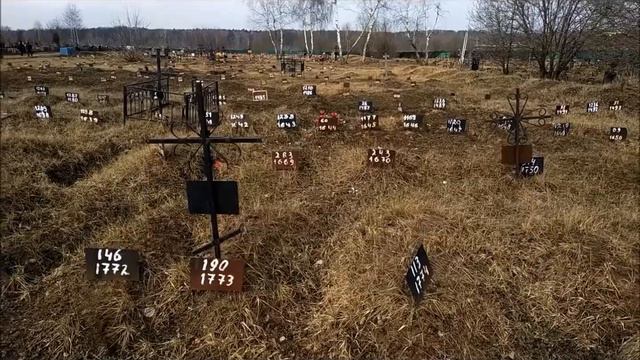 Репортаж с кладбища.... смотреть онлайн
