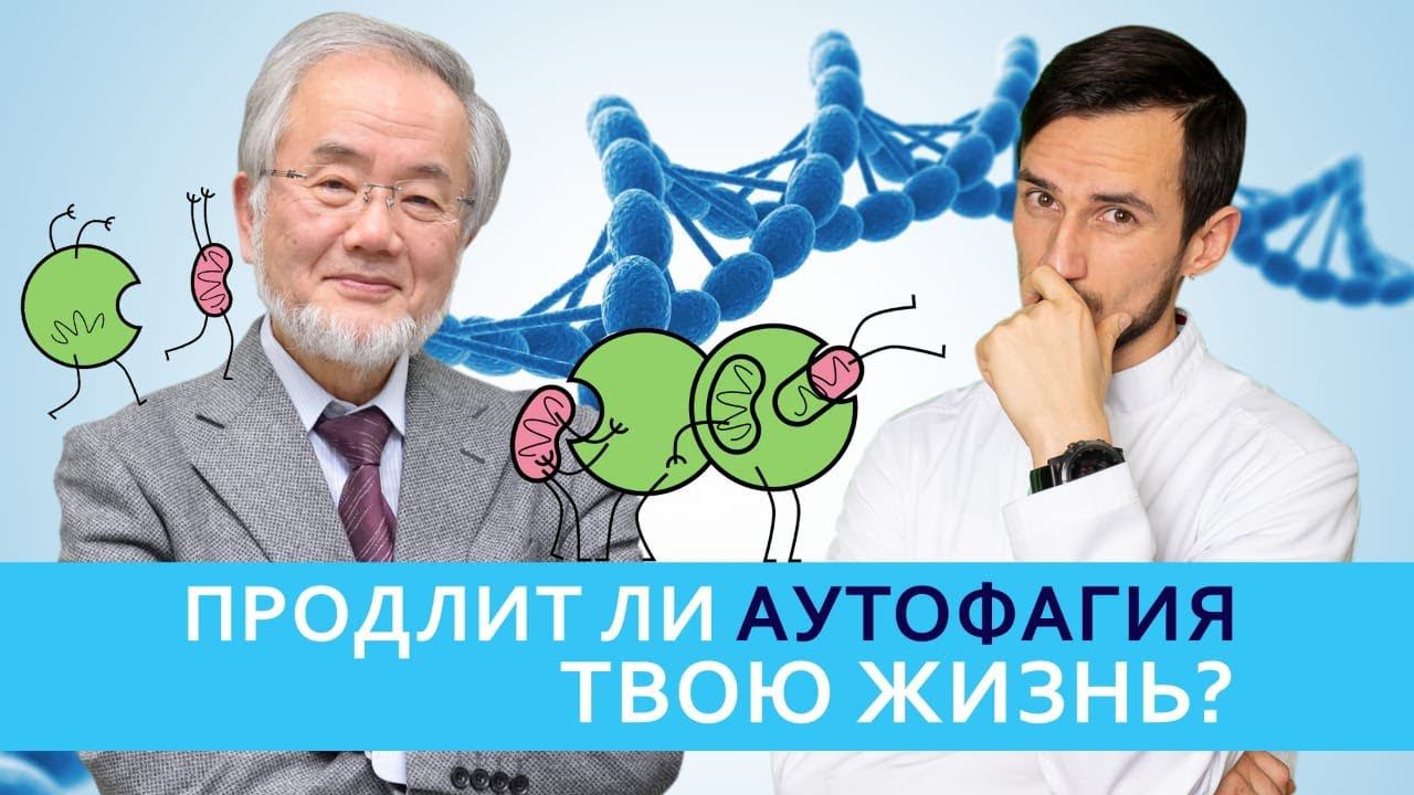 Продлит ли аутофагия твою жизнь? О чем недоговаривает японский ученый Есинори Осуми?