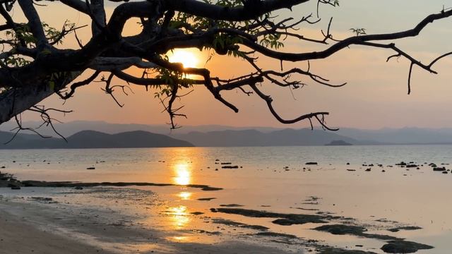 Остался НАВСЕГДА на НЕОБИТАЕМОМ ОСТРОВЕ [4-Часть] смотреть онлайн