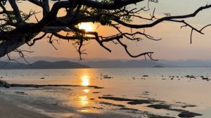 Остался НАВСЕГДА на НЕОБИТАЕМОМ ОСТРОВЕ [4-Часть]