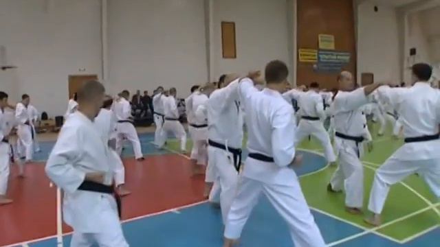 Karate Basics and Kihon Kumite by Mikio Yahara. Seminar in Mocow 2009 (part 1) смотреть онлайн