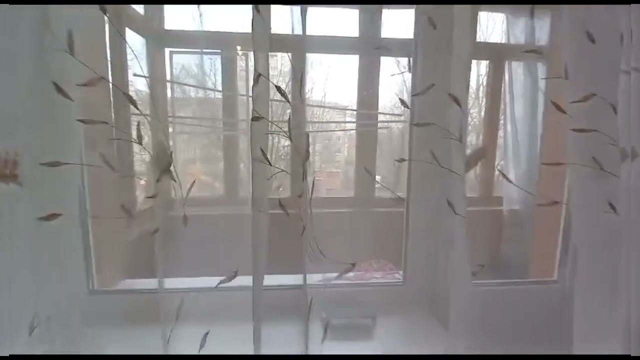 Ул. Мира, д. 39 смотреть онлайн