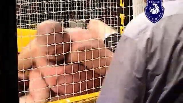 17 Zathureczky Zsolt - Viorel Lipa смотреть онлайн