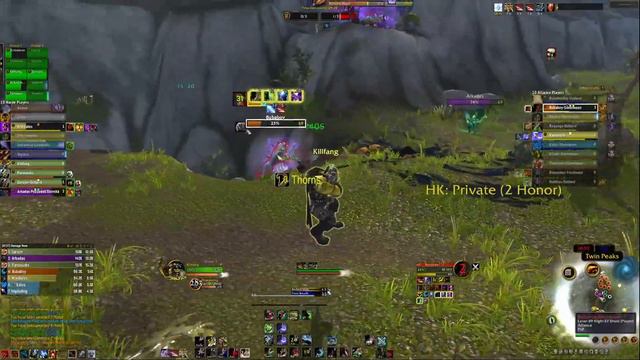 NO ONE LIKES ROGUES!- 10.0 BM Hunter - WoW Dragonflight PvP смотреть онлайн