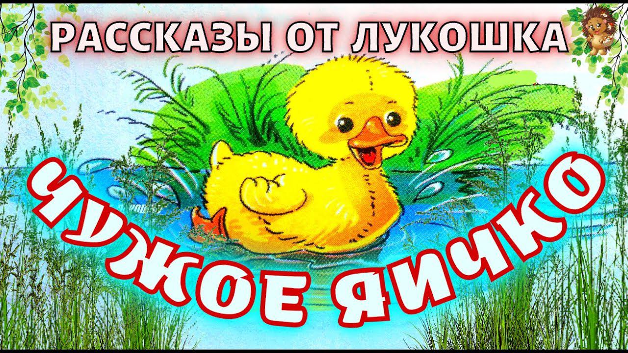 ЧУЖОЕ ЯИЧКО — Рассказ, Константин Ушинский | Рассказы для детей, рассказы Ушинского, слушать смотреть онлайн