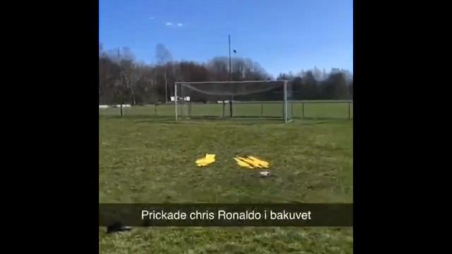 BIG TALENETD AND APLHA MALÉ DOES TRICKSHOT TO HONOR PETTER HANSSON BUT ALMOST DIES* (NO CLICKBAIT) смотреть онлайн