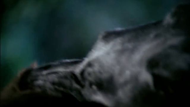 Zoltan, Hound of Dracula смотреть онлайн